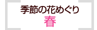 季節の花めぐり　春